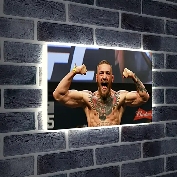 Лайтбокс световая панель - UFC. MMA. Конор МакГрегор демонстрирует мышцы. Лайтбокс световая панель - UFC. MMA. Конор МакГрегор демонстрирует мышцы.