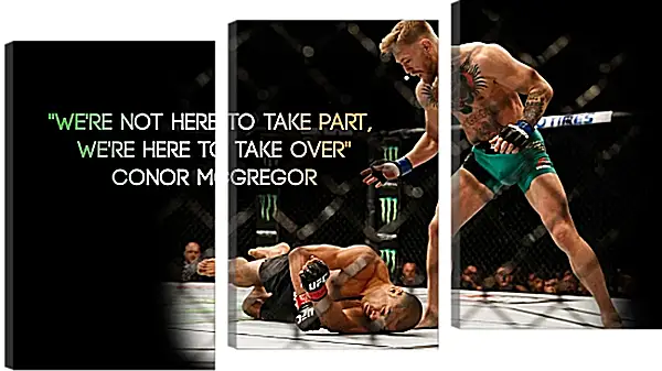 Модульная картина - UFC. MMA. Бой. Конор МакГрегор. Модульная картина - UFC. MMA. Бой. Конор МакГрегор.