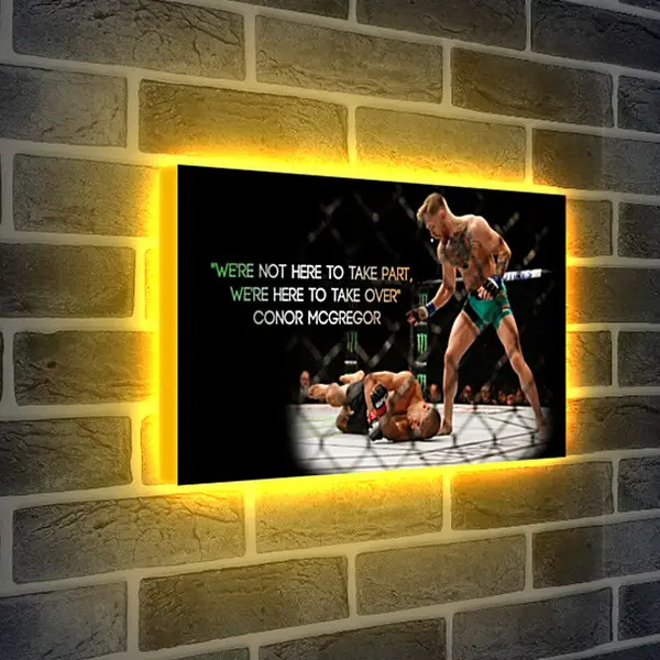 Лайтбокс световая панель - UFC. MMA. Бой. Конор МакГрегор. Лайтбокс световая панель - UFC. MMA. Бой. Конор МакГрегор.