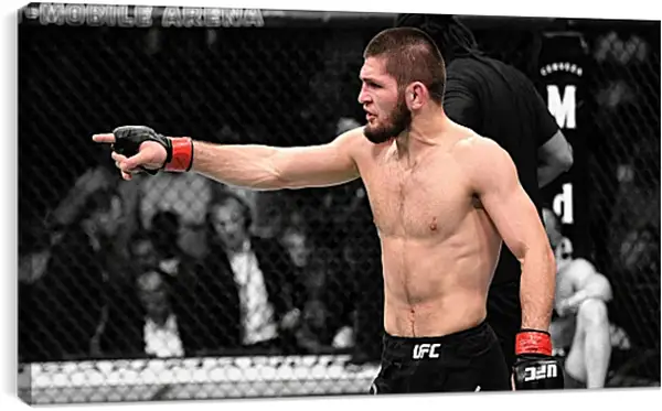 Постер на подрамнике - UFC. MMA. Хабиб Нурмагомедов. Постер на подрамнике - UFC. MMA. Хабиб Нурмагомедов.