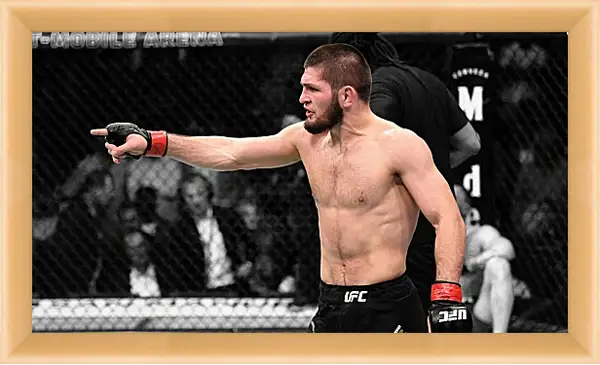 Картина в раме - UFC. MMA. Хабиб Нурмагомедов. Картина в раме - UFC. MMA. Хабиб Нурмагомедов.
