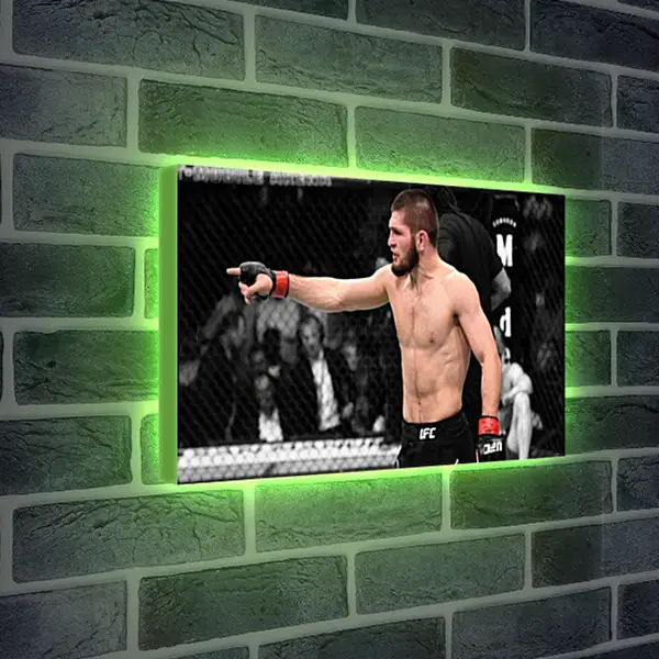 Лайтбокс световая панель - UFC. MMA. Хабиб Нурмагомедов. Лайтбокс световая панель - UFC. MMA. Хабиб Нурмагомедов.