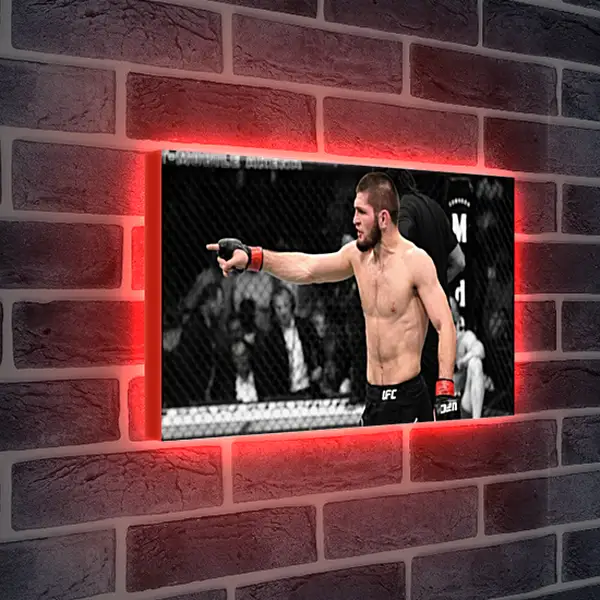 Лайтбокс световая панель - UFC. MMA. Хабиб Нурмагомедов. Лайтбокс световая панель - UFC. MMA. Хабиб Нурмагомедов.