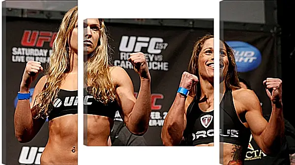 Модульная картина - UFC. MMA. Ронда Роузи перед боем. Модульная картина - UFC. MMA. Ронда Роузи перед боем.