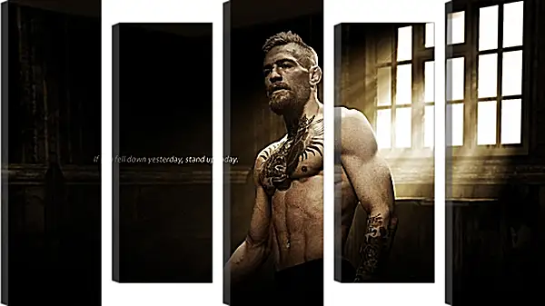 Модульная картина - UFC. MMA. Conchur Mac Greagoir. Конор МакГрегор. Модульная картина - UFC. MMA. Conchur Mac Greagoir. Конор МакГрегор.