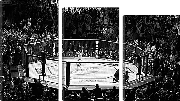 Модульная картина - UFC. MMA. В центре восьмиугольника. Модульная картина - UFC. MMA. В центре восьмиугольника.