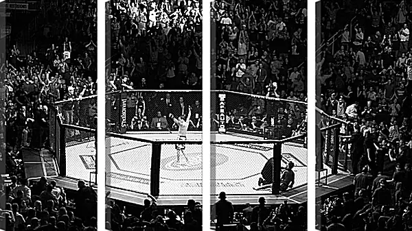 Модульная картина - UFC. MMA. В центре восьмиугольника. Модульная картина - UFC. MMA. В центре восьмиугольника.