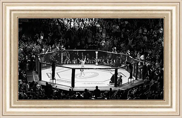 Картина в раме - UFC. MMA. В центре восьмиугольника. Картина в раме - UFC. MMA. В центре восьмиугольника.