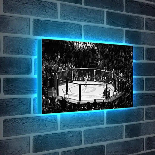 Лайтбокс световая панель - UFC. MMA. В центре восьмиугольника. Лайтбокс световая панель - UFC. MMA. В центре восьмиугольника.