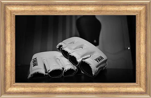 Картина в раме - MMA. Картина в раме - MMA.