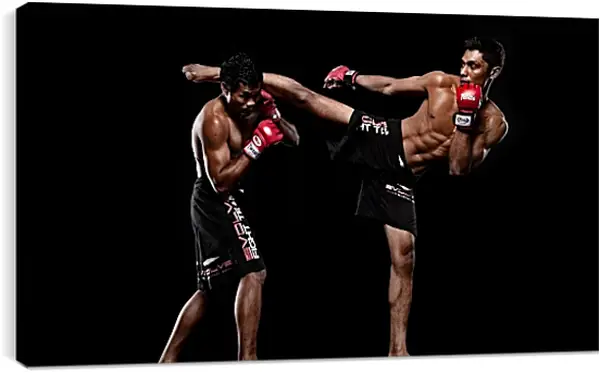 Постер на подрамнике - UFC. MMA. Удар ногой. Постер на подрамнике - UFC. MMA. Удар ногой.