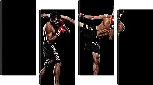 Модульная картина - UFC. MMA. Удар ногой. Модульная картина - UFC. MMA. Удар ногой.