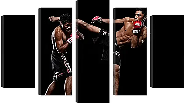 Модульная картина - UFC. MMA. Удар ногой. Модульная картина - UFC. MMA. Удар ногой.