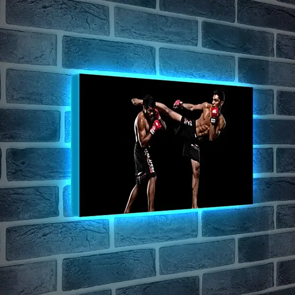 Лайтбокс световая панель - UFC. MMA. Удар ногой. Лайтбокс световая панель - UFC. MMA. Удар ногой.
