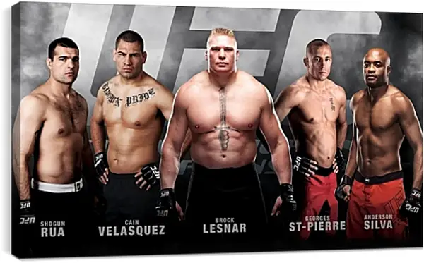 Постер на подрамнике - UFC. MMA. Брок Леснар. Постер на подрамнике - UFC. MMA. Брок Леснар.