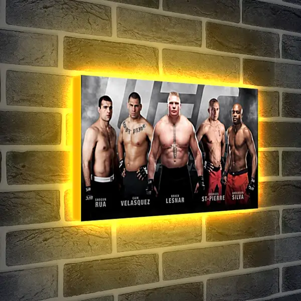 Лайтбокс световая панель - UFC. MMA. Брок Леснар. Лайтбокс световая панель - UFC. MMA. Брок Леснар.