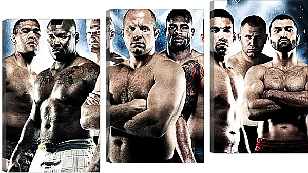 Модульная картина - UFC. MMA. Фёдор Емельяненко. Модульная картина - UFC. MMA. Фёдор Емельяненко.