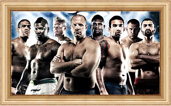 Картина в раме - UFC. MMA. Фёдор Емельяненко. Картина в раме - UFC. MMA. Фёдор Емельяненко.