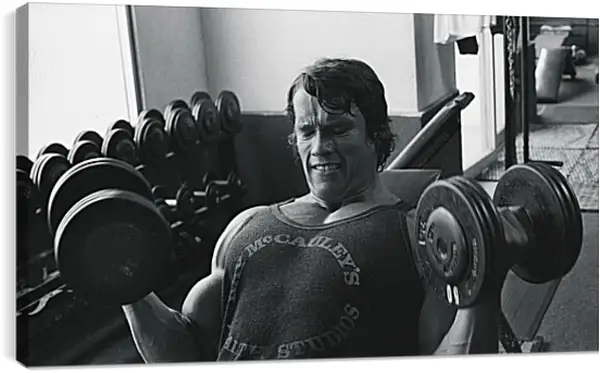 Постер на подрамнике - Арнольд Шварценеггер (Arnold Schwarzenegger) Постер на подрамнике - Арнольд Шварценеггер (Arnold Schwarzenegger)