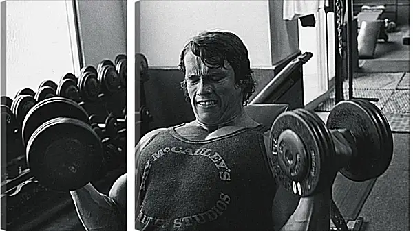 Модульная картина - Арнольд Шварценеггер (Arnold Schwarzenegger) Модульная картина - Арнольд Шварценеггер (Arnold Schwarzenegger)