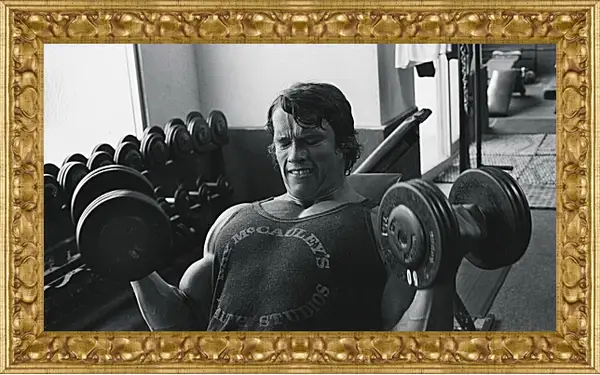 Картина в раме - Арнольд Шварценеггер (Arnold Schwarzenegger) Картина в раме - Арнольд Шварценеггер (Arnold Schwarzenegger)