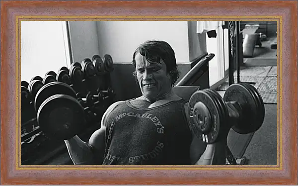 Картина в раме - Арнольд Шварценеггер (Arnold Schwarzenegger) Картина в раме - Арнольд Шварценеггер (Arnold Schwarzenegger)