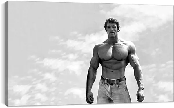 Постер на подрамнике - Арнольд Шварценеггер (Arnold Schwarzenegger) Постер на подрамнике - Арнольд Шварценеггер (Arnold Schwarzenegger)