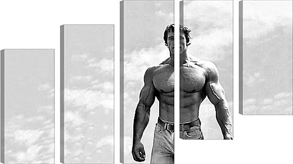 Модульная картина - Арнольд Шварценеггер (Arnold Schwarzenegger) Модульная картина - Арнольд Шварценеггер (Arnold Schwarzenegger)