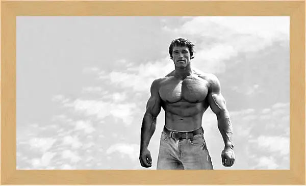 Картина в раме - Арнольд Шварценеггер (Arnold Schwarzenegger) Картина в раме - Арнольд Шварценеггер (Arnold Schwarzenegger)