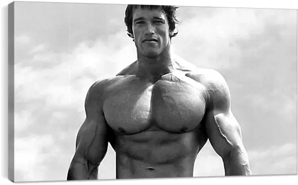 Постер на подрамнике - Арнольд Шварценеггер (Arnold Schwarzenegger) Постер на подрамнике - Арнольд Шварценеггер (Arnold Schwarzenegger)