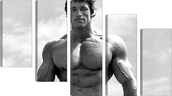 Модульная картина - Арнольд Шварценеггер (Arnold Schwarzenegger) Модульная картина - Арнольд Шварценеггер (Arnold Schwarzenegger)