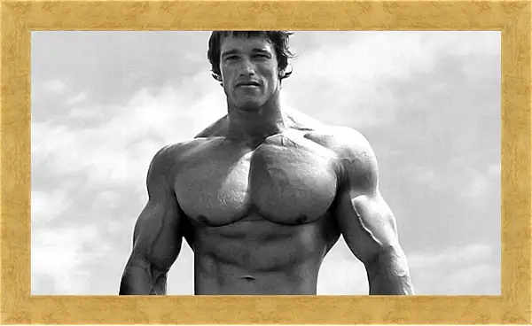 Картина в раме - Арнольд Шварценеггер (Arnold Schwarzenegger) Картина в раме - Арнольд Шварценеггер (Arnold Schwarzenegger)