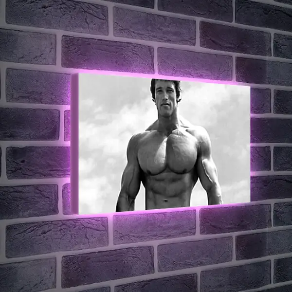 Лайтбокс световая панель - Арнольд Шварценеггер (Arnold Schwarzenegger) Лайтбокс световая панель - Арнольд Шварценеггер (Arnold Schwarzenegger)