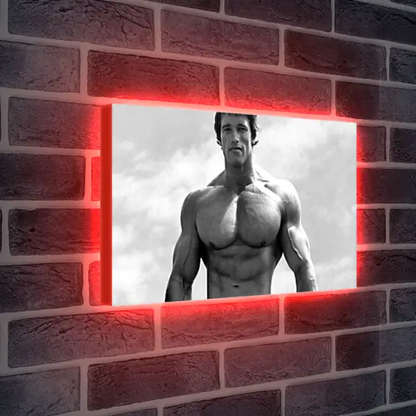 Лайтбокс световая панель - Арнольд Шварценеггер (Arnold Schwarzenegger) Лайтбокс световая панель - Арнольд Шварценеггер (Arnold Schwarzenegger)