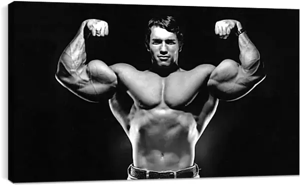 Постер на подрамнике - Арнольд Шварценеггер (Arnold Schwarzenegger) Постер на подрамнике - Арнольд Шварценеггер (Arnold Schwarzenegger)