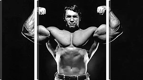 Модульная картина - Арнольд Шварценеггер (Arnold Schwarzenegger) Модульная картина - Арнольд Шварценеггер (Arnold Schwarzenegger)