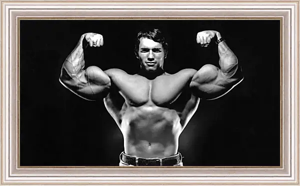Картина в раме - Арнольд Шварценеггер (Arnold Schwarzenegger) Картина в раме - Арнольд Шварценеггер (Arnold Schwarzenegger)