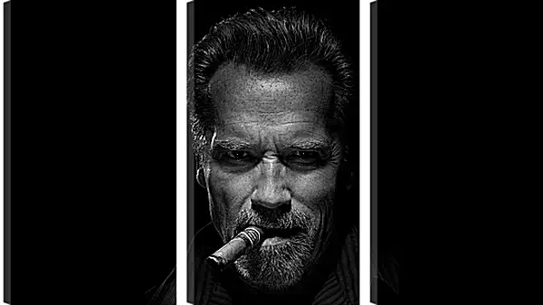 Модульная картина - Арнольд Шварценеггер (Arnold Schwarzenegger) Модульная картина - Арнольд Шварценеггер (Arnold Schwarzenegger)