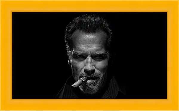 Картина в раме - Арнольд Шварценеггер (Arnold Schwarzenegger) Картина в раме - Арнольд Шварценеггер (Arnold Schwarzenegger)