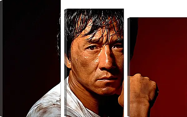 Модульная картина - Джеки Чан. Jackie Chan Модульная картина - Джеки Чан. Jackie Chan