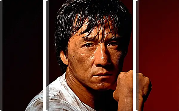 Модульная картина - Джеки Чан. Jackie Chan Модульная картина - Джеки Чан. Jackie Chan