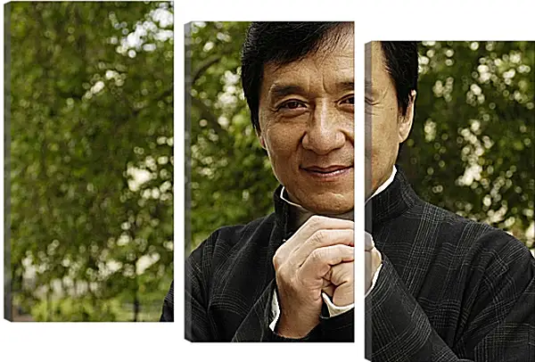 Модульная картина - Джеки Чан. Jackie Chan Модульная картина - Джеки Чан. Jackie Chan