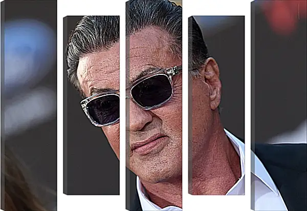 Модульная картина - Сильвестр Сталлоне. Sylvester Stallone Модульная картина - Сильвестр Сталлоне. Sylvester Stallone