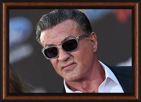 Картина в раме - Сильвестр Сталлоне. Sylvester Stallone Картина в раме - Сильвестр Сталлоне. Sylvester Stallone