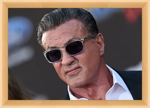 Картина в раме - Сильвестр Сталлоне. Sylvester Stallone Картина в раме - Сильвестр Сталлоне. Sylvester Stallone