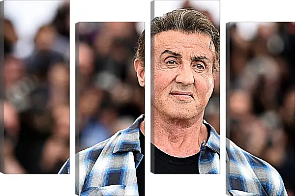 Модульная картина - Сильвестр Сталлоне. Sylvester Stallone Модульная картина - Сильвестр Сталлоне. Sylvester Stallone