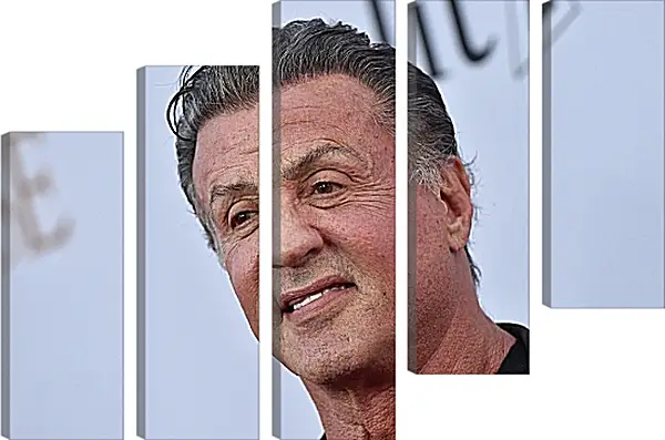 Модульная картина - Сильвестр Сталлоне. Sylvester Stallone Модульная картина - Сильвестр Сталлоне. Sylvester Stallone