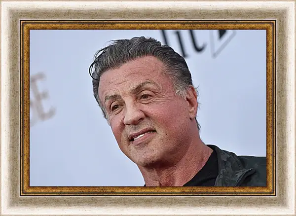 Картина в раме - Сильвестр Сталлоне. Sylvester Stallone Картина в раме - Сильвестр Сталлоне. Sylvester Stallone