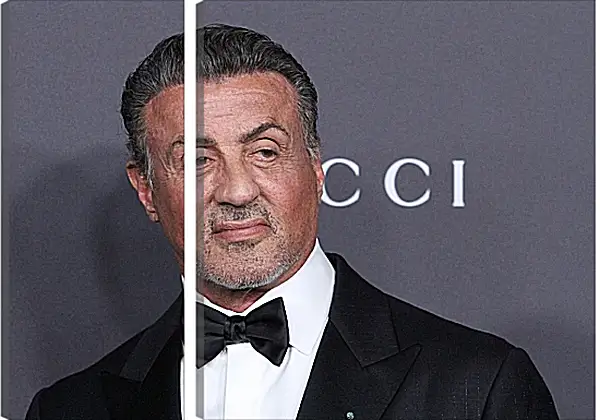 Модульная картина - Сильвестр Сталлоне. Sylvester Stallone Модульная картина - Сильвестр Сталлоне. Sylvester Stallone