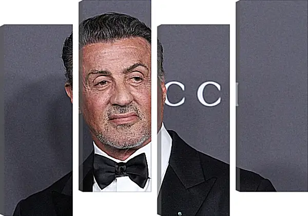 Модульная картина - Сильвестр Сталлоне. Sylvester Stallone Модульная картина - Сильвестр Сталлоне. Sylvester Stallone
